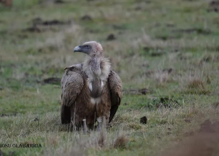 Ferienhaus Laremilia Barrio de Diaz Ruiz